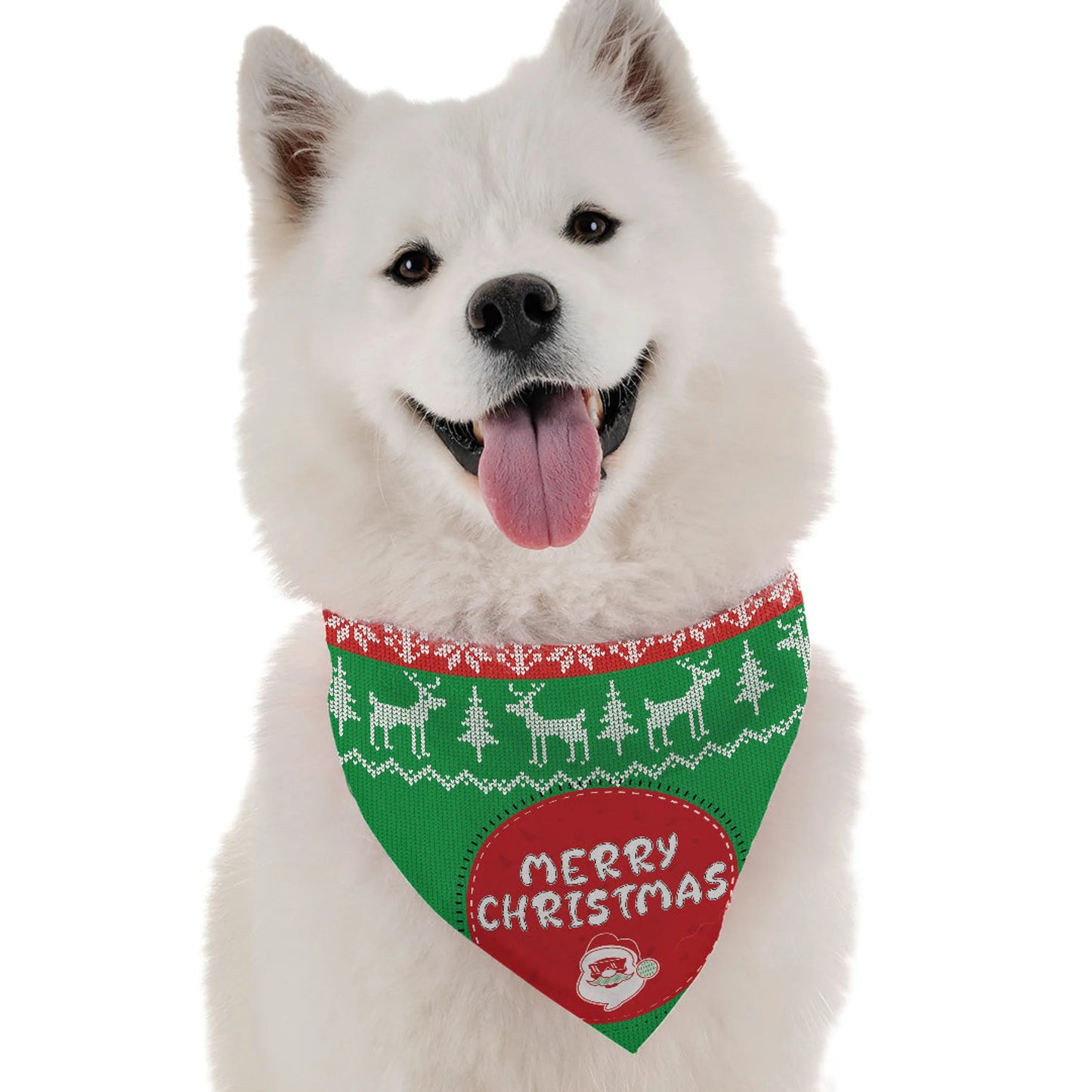 Ugliest Xmas Sweater - Your Pet Connection