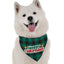 Bandoggies Festive Holiday Dog Bandana
