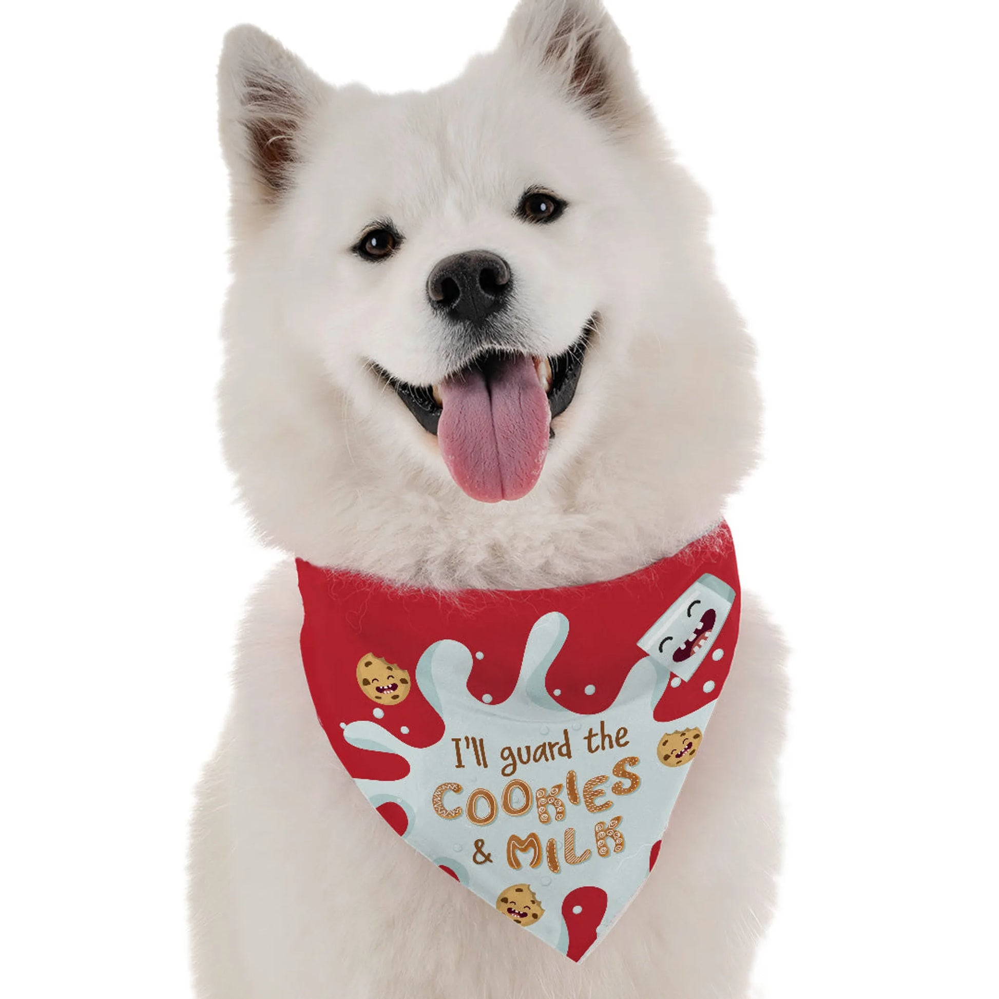 Cookies and Milk - Your Pet Connection