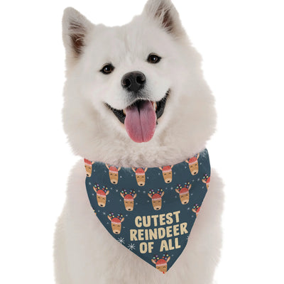 Cutest Reindeer of All - Your Pet Connection