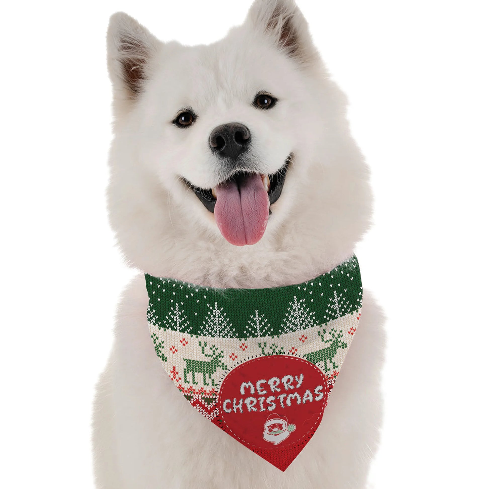 Uglier Xmas Sweater - Your Pet Connection