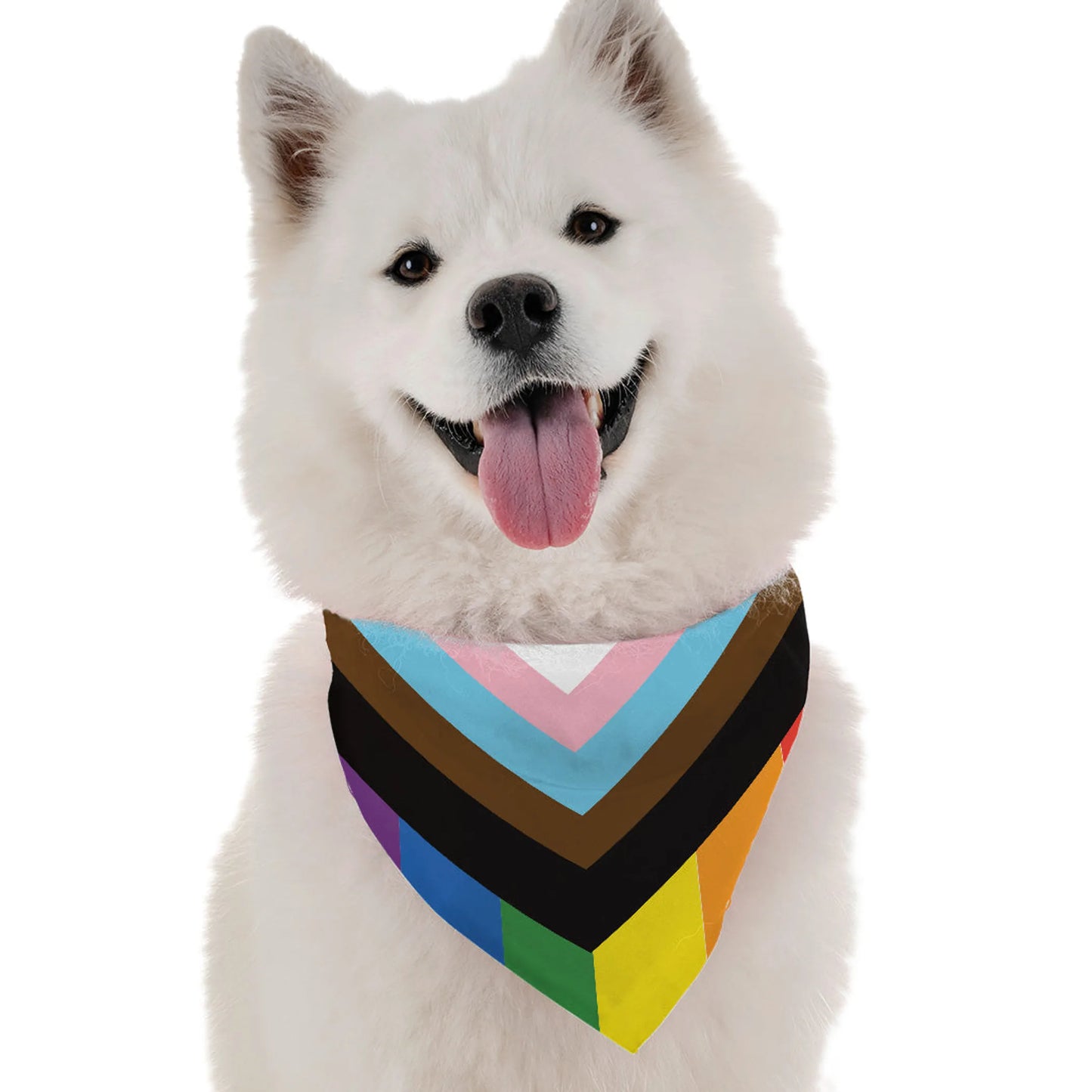 Progress Pride - Your Pet Connection