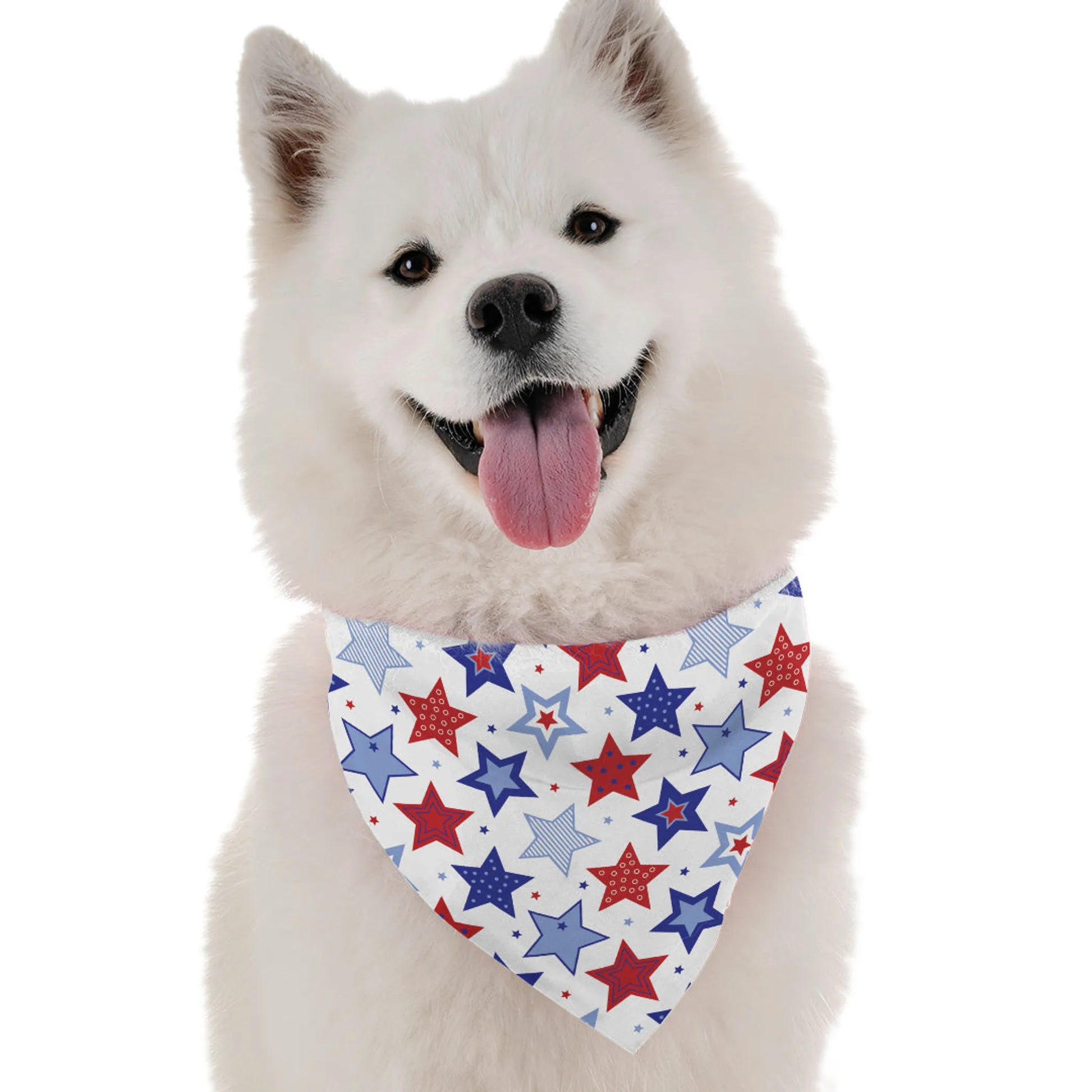 PAWtriotic - Your Pet Connection