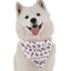 Patriotic Pooch - Your Pet Connection