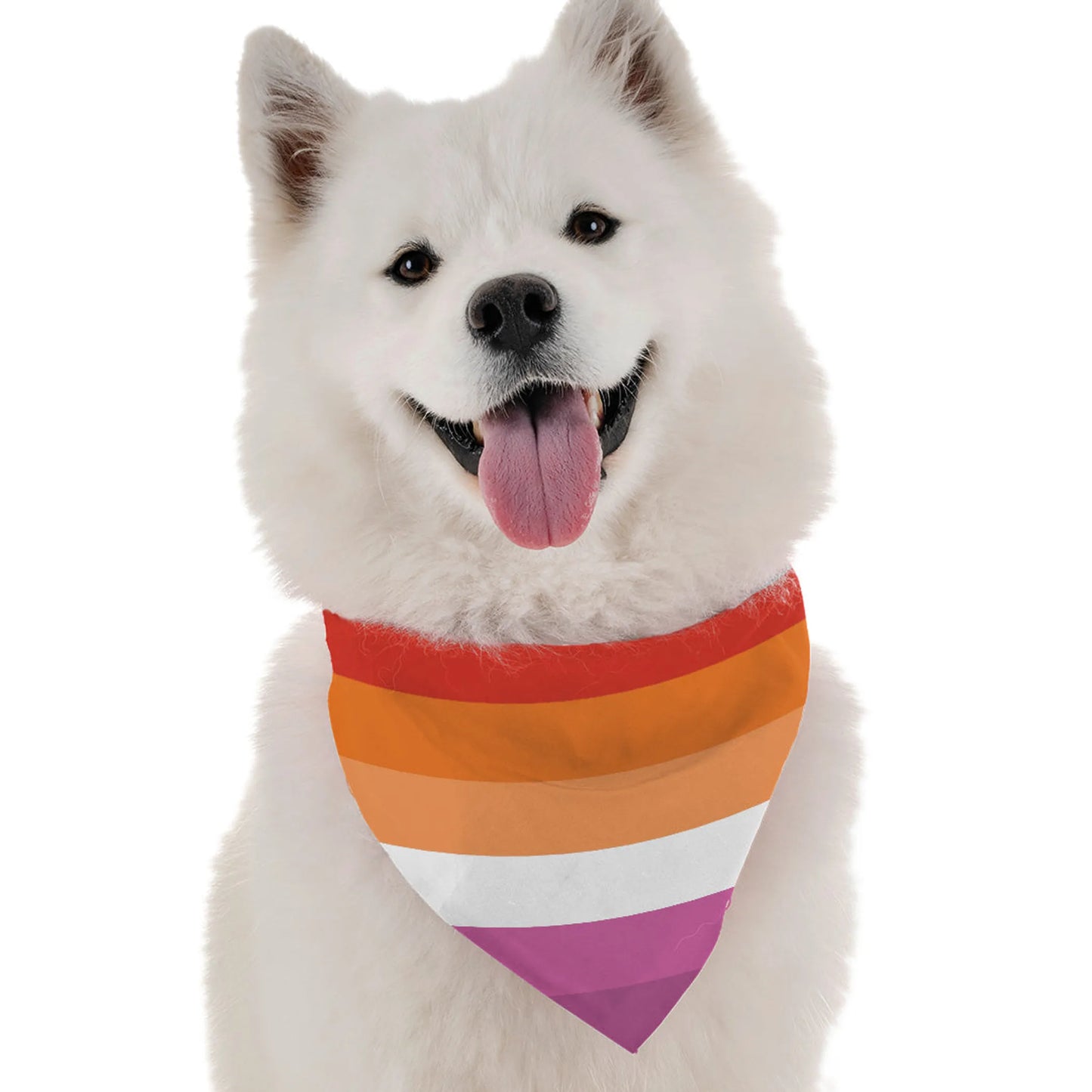 Bandoggies Vibrant Rainbow Dog Bandanas