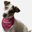 Bandoggies Adventure Dog Bandanas Medium