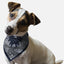Bandoggies Adventurer Dog Bandanas