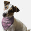 Lilac Paisley - Your Pet Connection