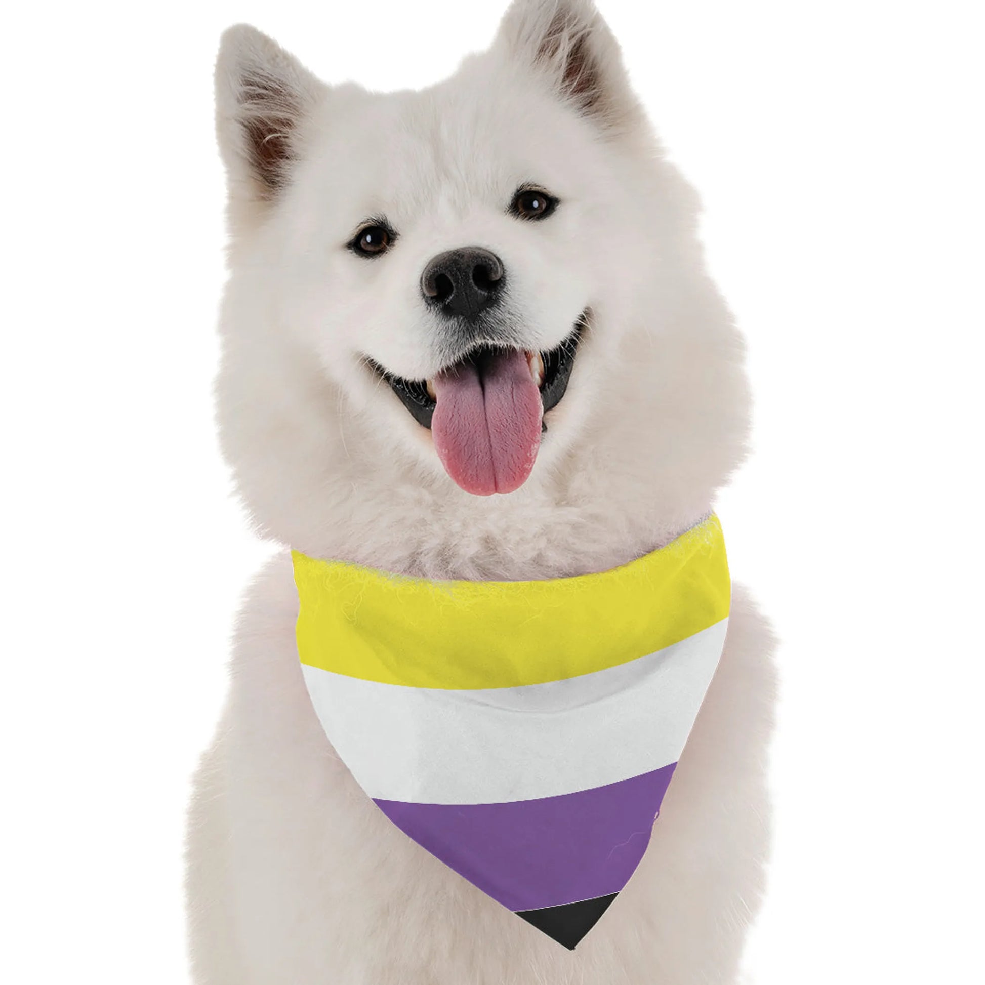 Non Binary Pride - Your Pet Connection
