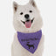 Bandoggies Stylish Dog Bandanas One Size