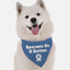 Rescues Do it Better - Your Pet Connection