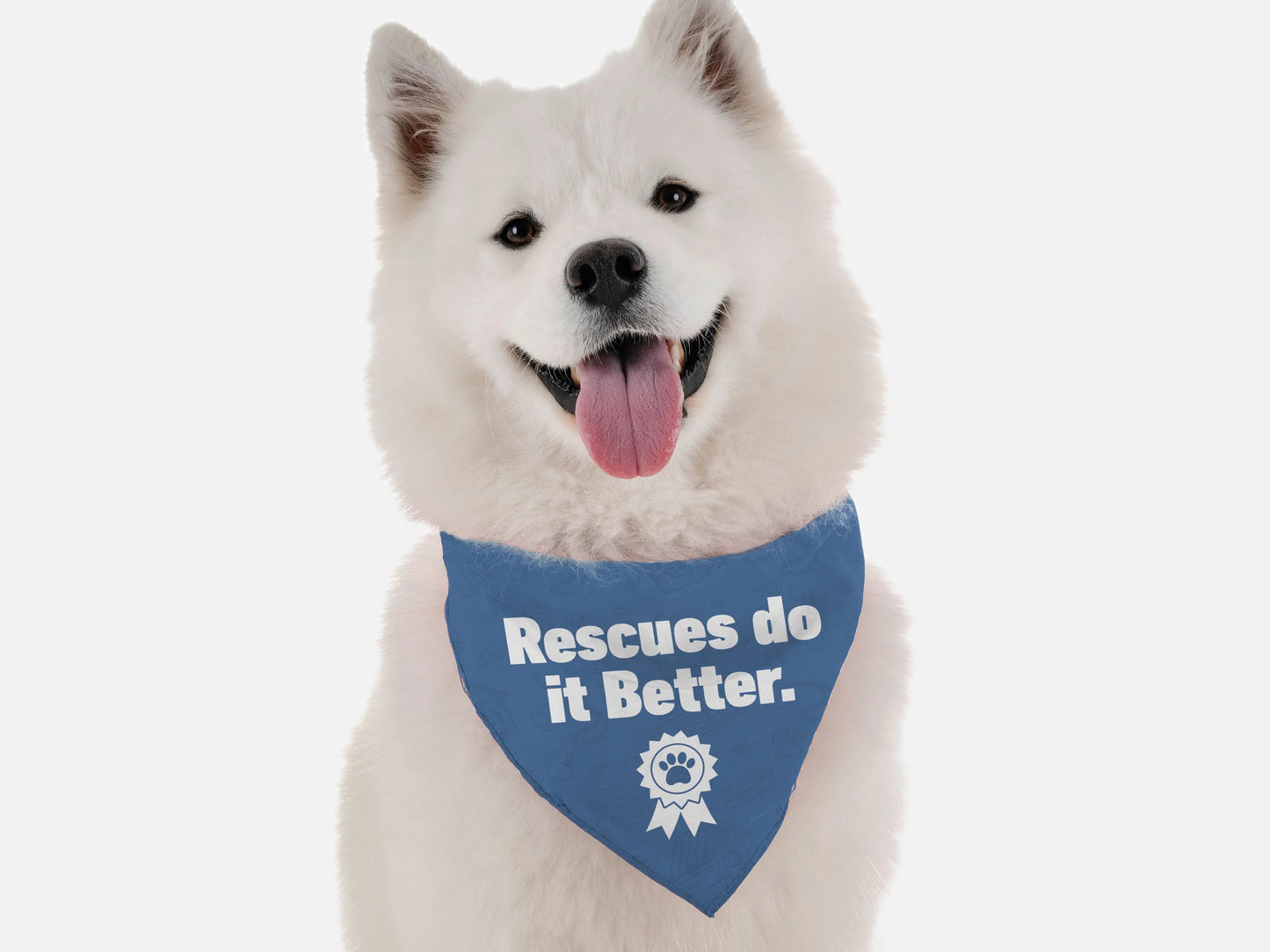 Rescues Do it Better - Your Pet Connection
