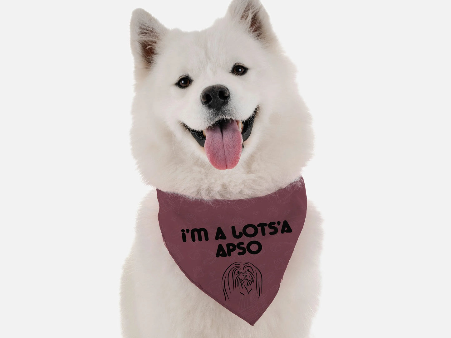 I'm a Lots'a Apso - Your Pet Connection