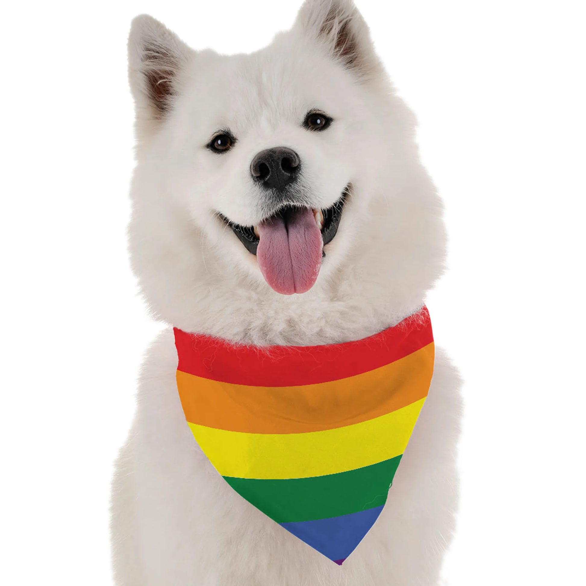 Pride - Your Pet Connection