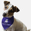 Happy Halloween! - Your Pet Connection
