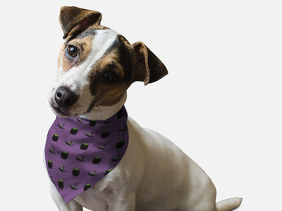 Witch's Brew - Your Pet Connection