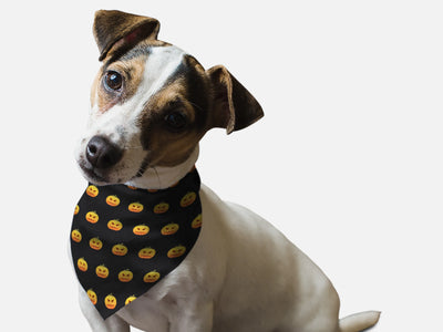 Head Full O' Pumpkin! - Your Pet Connection