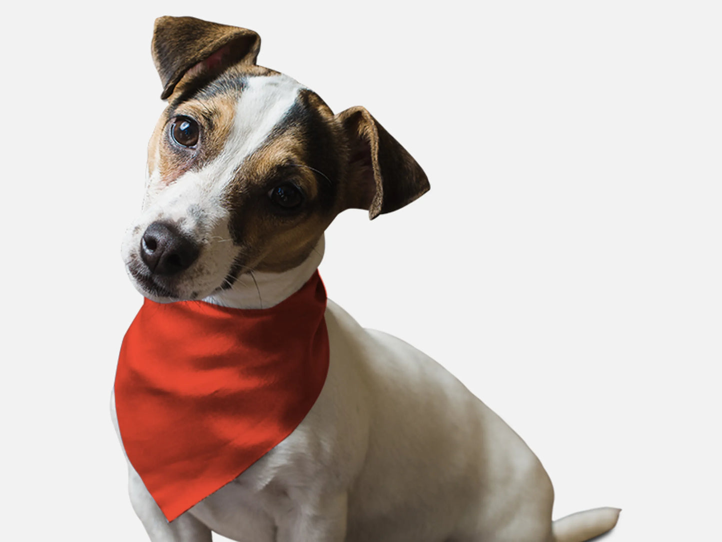 Bandoggies Vibrant Microfiber Dog Bandanas