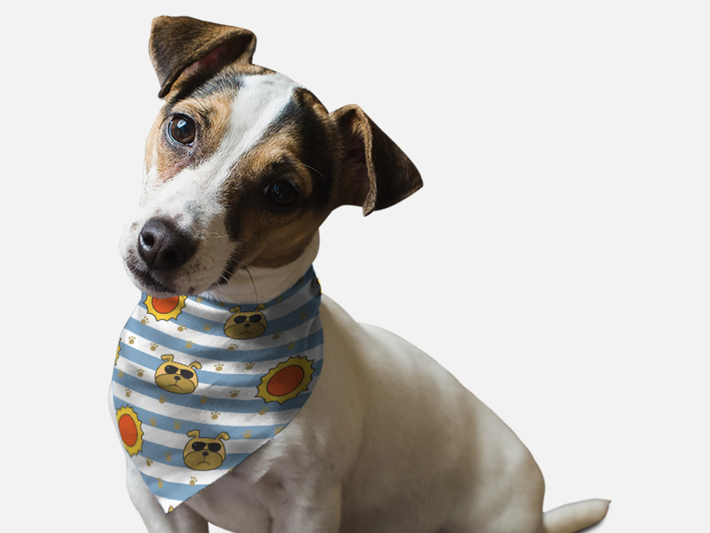 Bandoggies Colorful Microfiber Dog Bandana