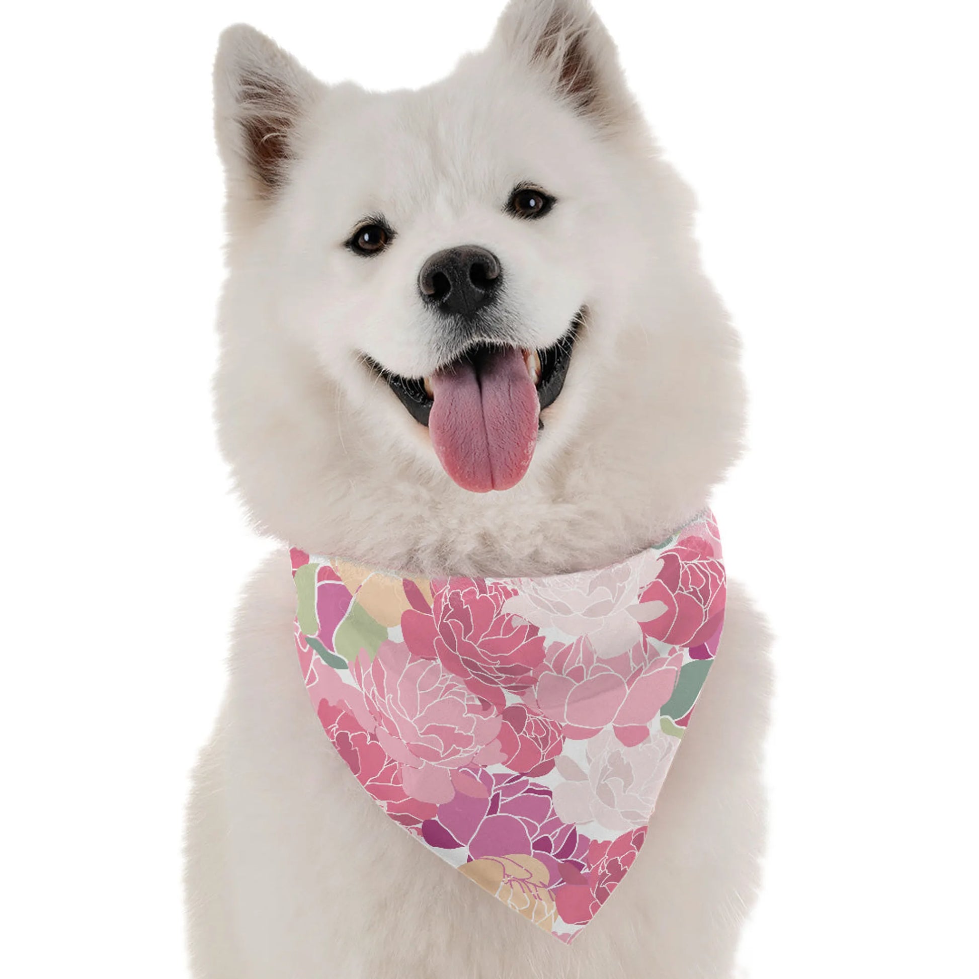 Florals - Your Pet Connection