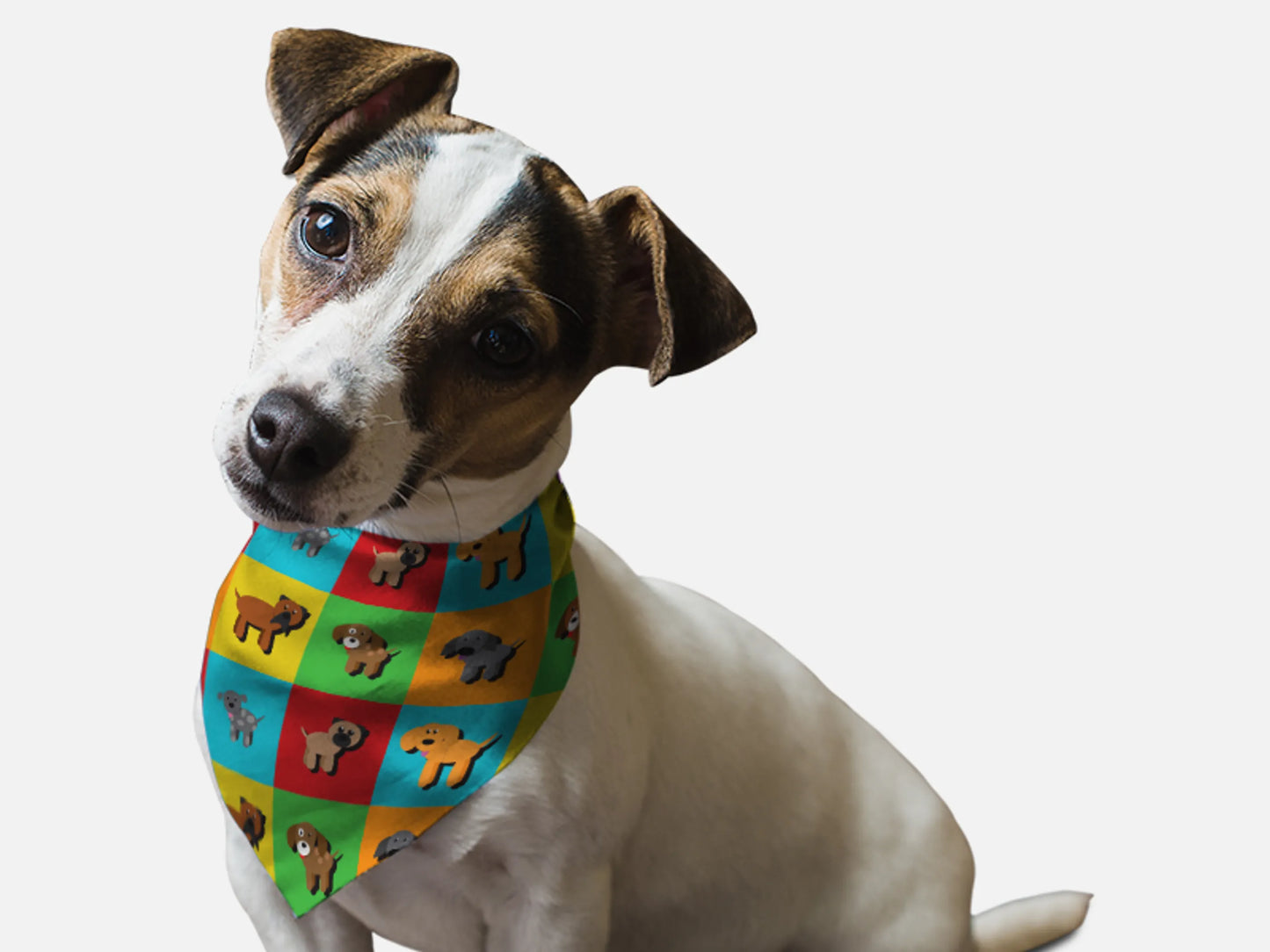 Park Snazzenue - Your Pet Connection