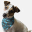 Bandoggies Chic Microfiber Dog Bandanas