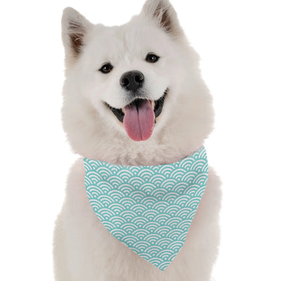 Briar - Your Pet Connection