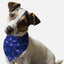 Bandoggies Chic Sprinkle Print Dog Bandana