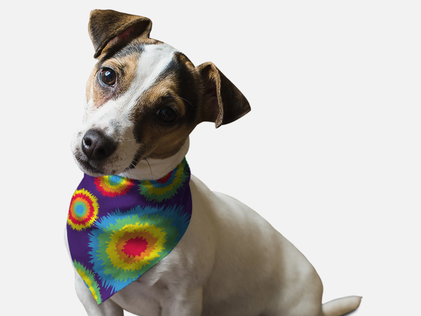 Bandoggies Retro Style Microfiber Dog Bandana