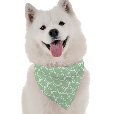Mint - Your Pet Connection