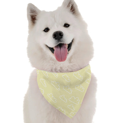Sunshine - Your Pet Connection
