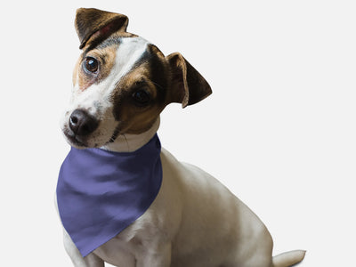 Bandoggies Stylish Microfiber Dog Bandanas