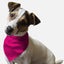 Neon Frisbee Pink - Your Pet Connection