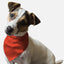 Fire Hydrant Red - Your Pet Connection