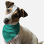 Seriously Sea Foam - Your Pet Connection