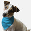 Swimming Pool Blue - Your Pet Connection