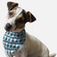 Bandoggies Soft Charm Dog Bandana