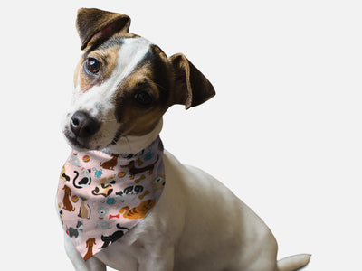 Bandoggies Vibrant Dog Bandanas 20 Inch