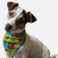 Park Snazzenue - Your Pet Connection