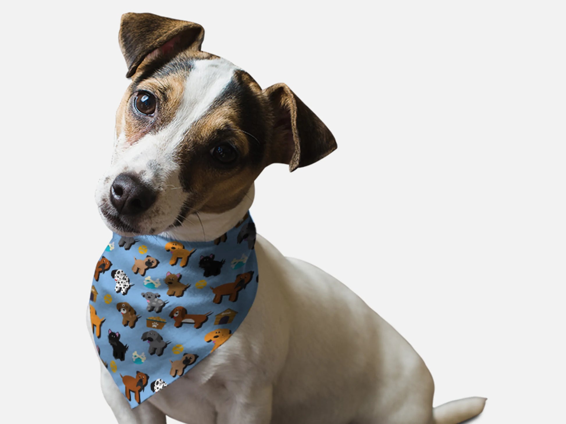 Pup Pals - Your Pet Connection