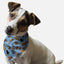 Bandoggies Stylish Microfiber Dog Bandanas