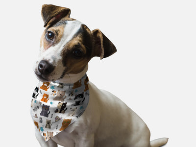Bandoggies Ultra-Soft Breathable Dog Bandanas