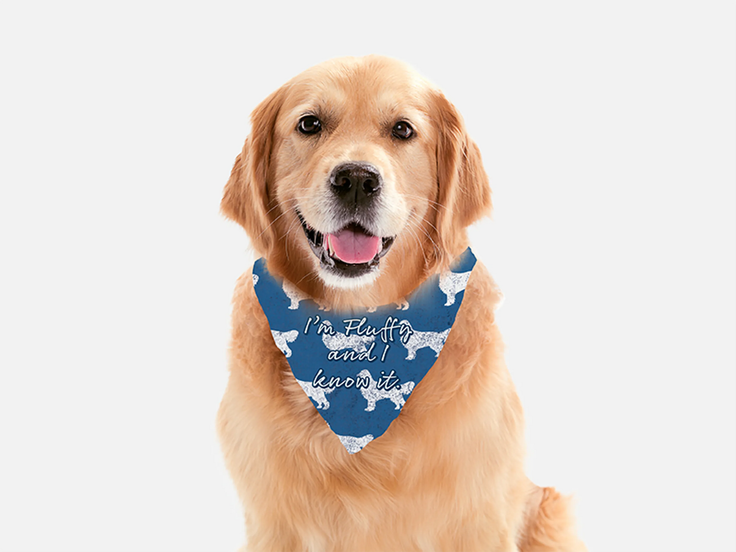 Bandoggies Stylish Dog Bandanas for Any Occasion