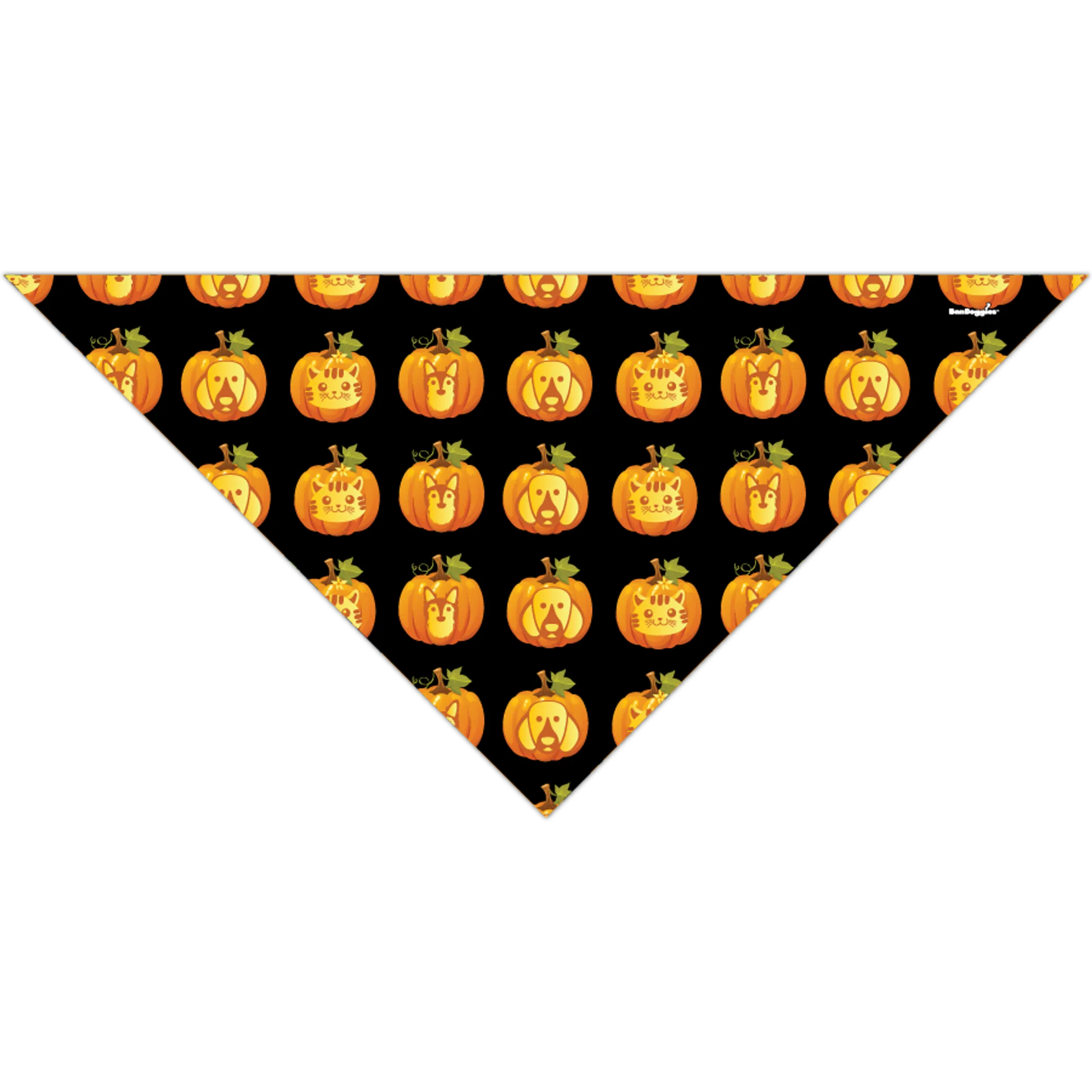 Jack-O-Lanterns - Your Pet Connection