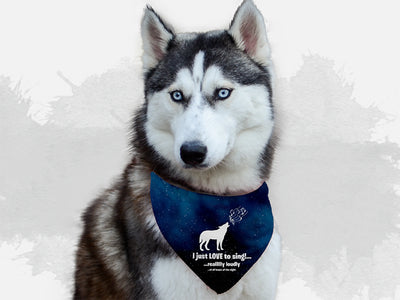 Bandoggies Trendy Dog Bandana Adjustable Fit