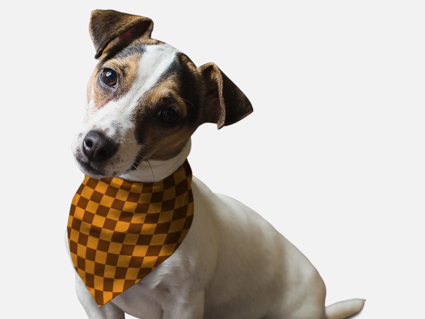 Bandoggies Retro Print Dog Bandana