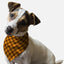 1930s Retro Style - Your Pet Connection