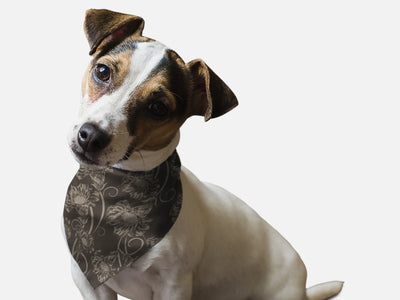 1950's Retro Style - Your Pet Connection