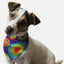 Bandoggies Retro Style Microfiber Dog Bandana