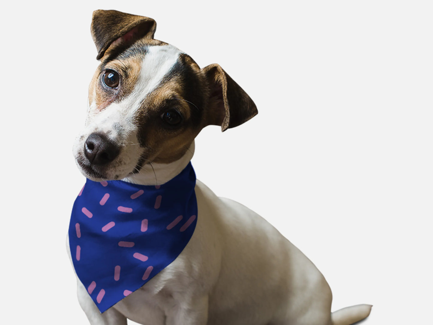 Bandoggies Chic Sprinkle Print Dog Bandana